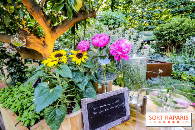 Jardins Jardin 2018, les photos