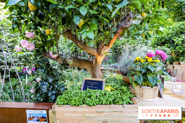 Jardins Jardin 2018, les photos