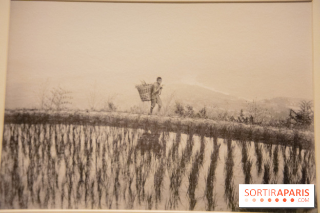 Terres de riz, l'exposition au musée Guimet