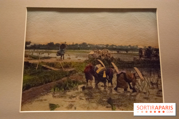 Terres de riz, l'exposition au musée Guimet
