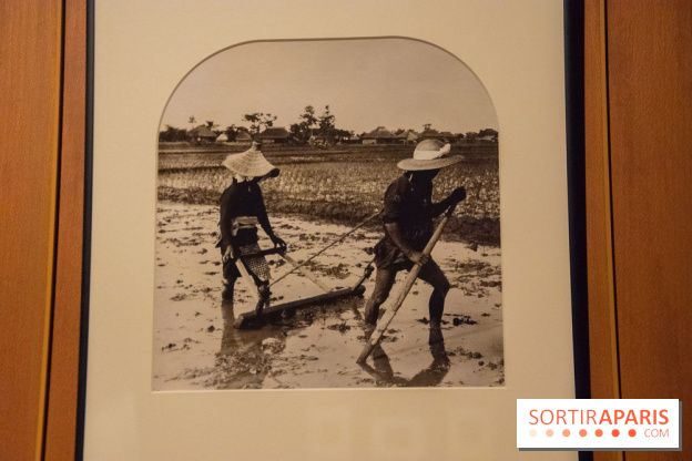 Terres de riz, l'exposition au musée Guimet