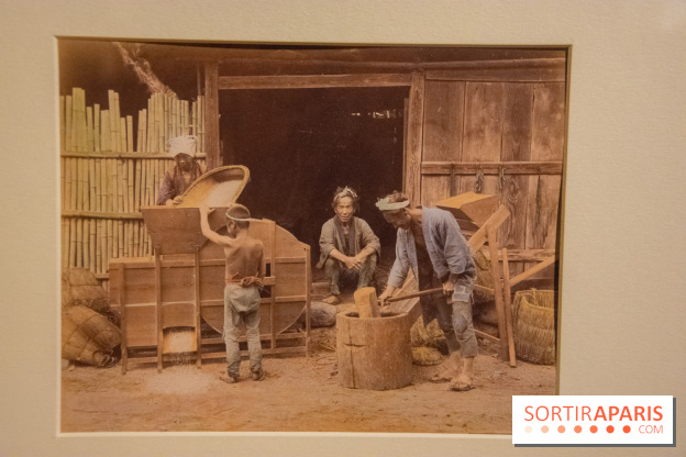 Terres de riz, l'exposition au musée Guimet