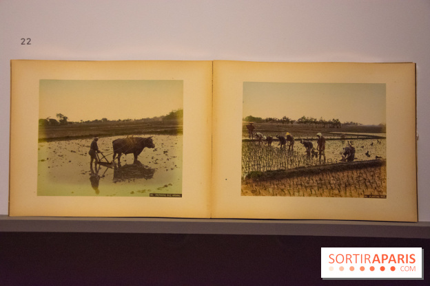Terres de riz, l'exposition au musée Guimet