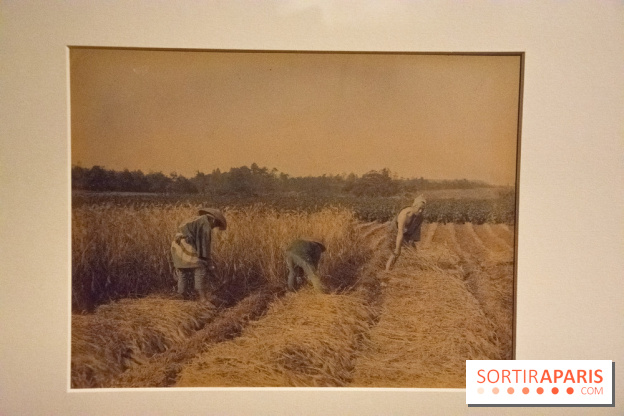 Terres de riz, l'exposition au musée Guimet