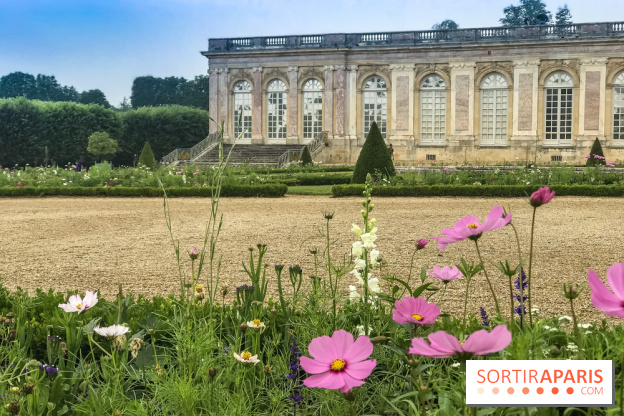 Jean Cotelle, l'exposition au Grand Trianon de Versailles