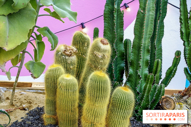 Le Jardin Suspendu à Paris