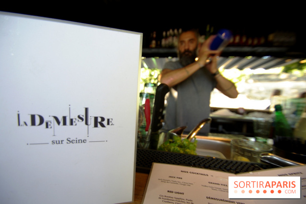 La Démesure Sur Seine à Paris, édition 2018