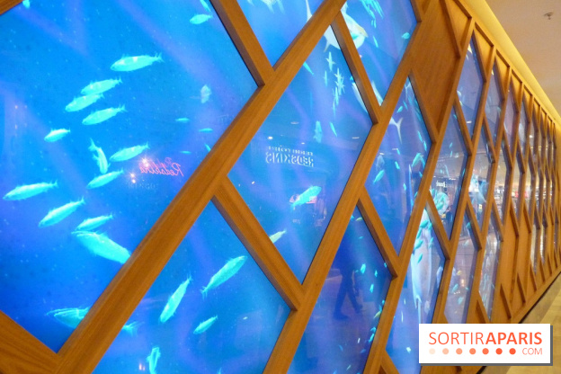 So Ouest, la galerie marine