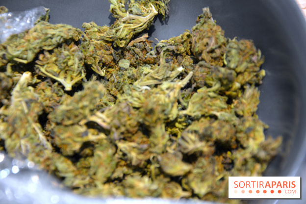 Le Lab du bonheur à Paris, un Coffee Shop CBD bien-être 