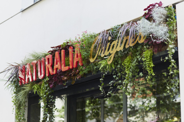 Origines : le premier magasin parisien dédié aux médecines douces