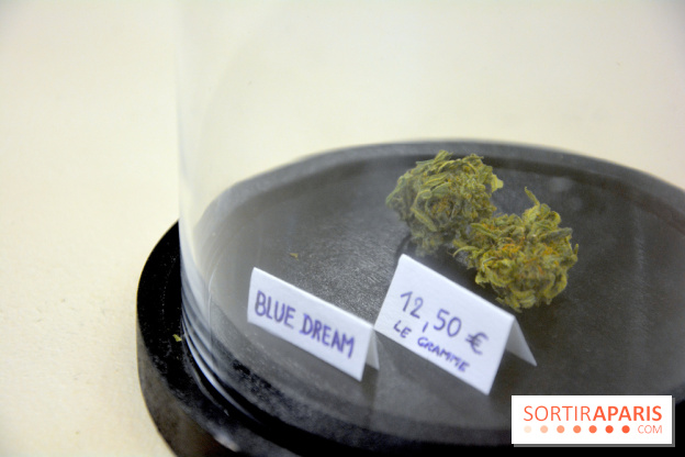 BlueDreamLab le spécialiste de la vente de cannabis CBD