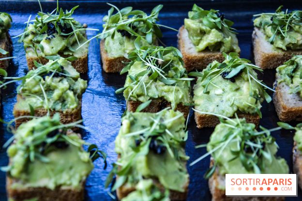 La Villa Extraordinaire, les photos 