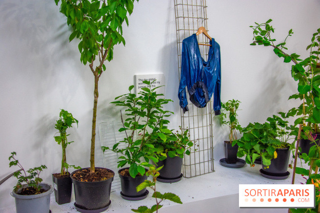 Exposition Laure Prouvost au Palais de Tokyo