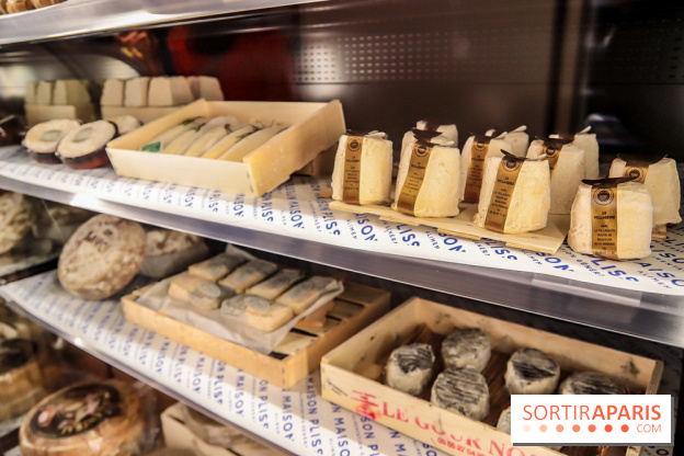 Maison Plisson 2, inauguration