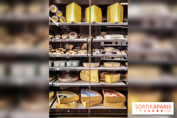 Maison Plisson 2, inauguration