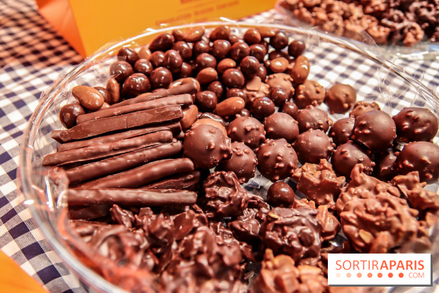 Maison Plisson 2, inauguration