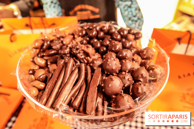 Maison Plisson 2, inauguration