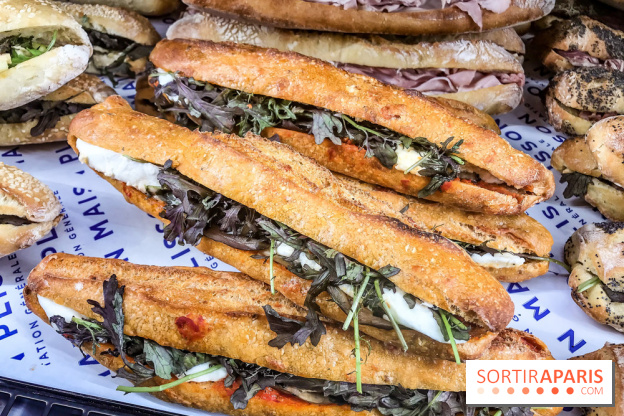 Maison Plisson 2, inauguration