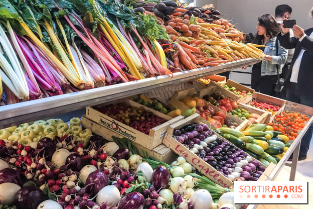 Maison Plisson 2, inauguration