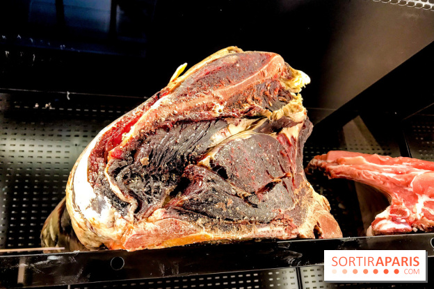 Maison Plisson 2, inauguration