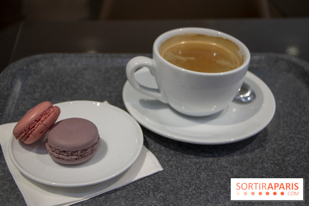 Le retour du Grand Veggie : nos photos