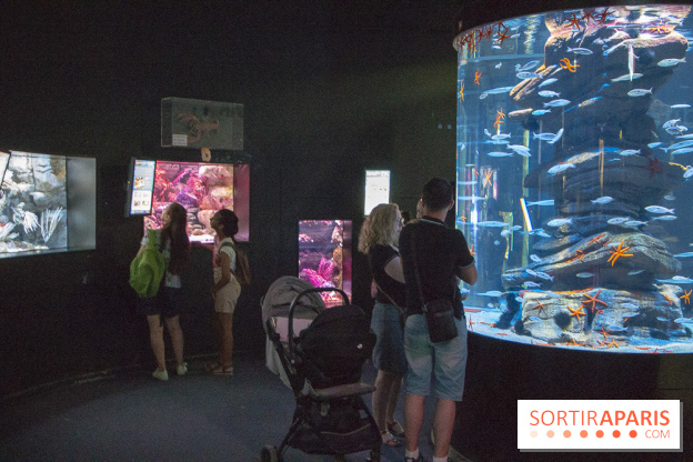 Peppa Pig à l’Aquarium de Paris : les photos