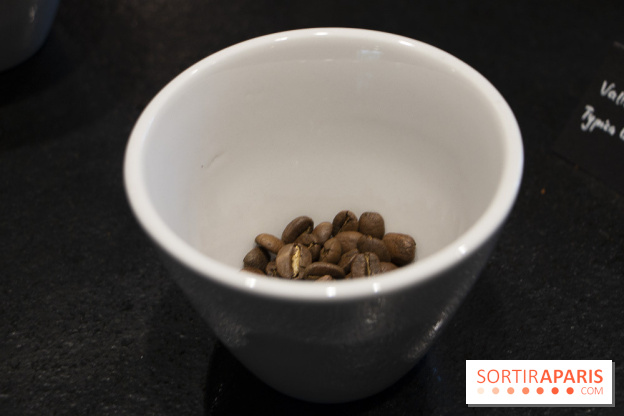 Initiation "autour du café" chez Comptoirs Richard : les photos