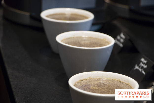 Initiation "autour du café" chez Comptoirs Richard : les photos