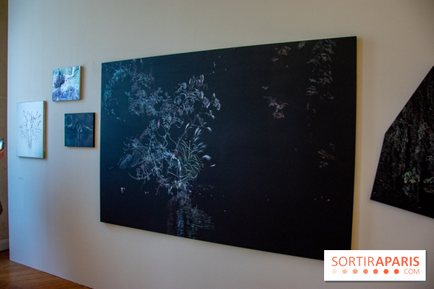 FUKAMI, l'exposition à l'hôtel Salomon de Rothschield