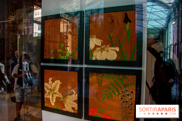 FUKAMI, l'exposition à l'hôtel Salomon de Rothschield