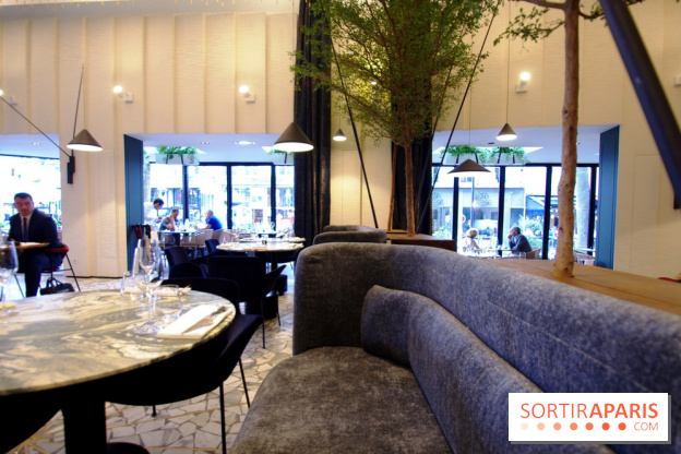 Zebra par Alexandre Giesbert et Julien Ross dans le 16e à Paris