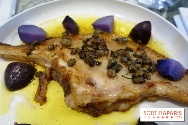 Zebra par Alexandre Giesbert et Julien Ross dans le 16e à Paris