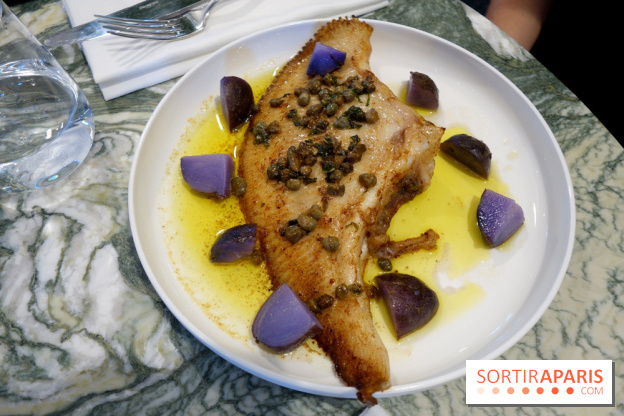 Zebra par Alexandre Giesbert et Julien Ross dans le 16e à Paris