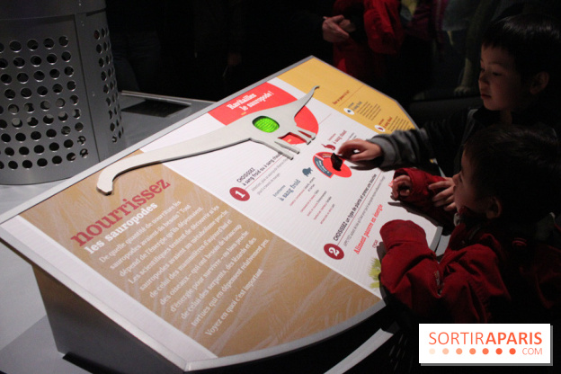 Dinosaure, la vie en grand au Muséum