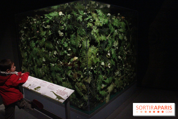 Dinosaure, la vie en grand au Muséum