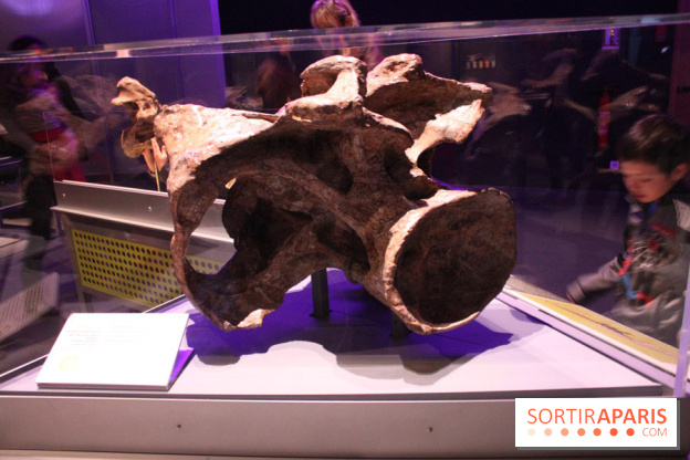 Dinosaure, la vie en grand au Muséum
