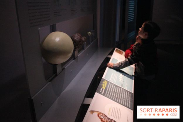 Dinosaure, la vie en grand au Muséum