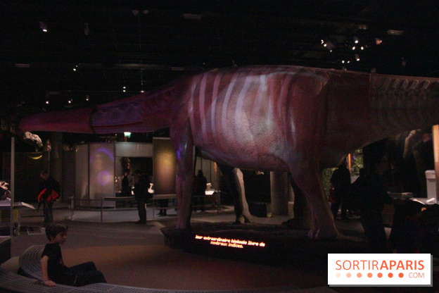 Dinosaure, la vie en grand au Muséum