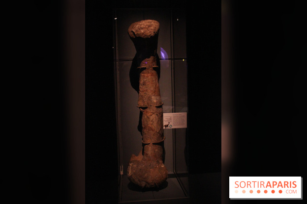 Dinosaure, la vie en grand au Muséum