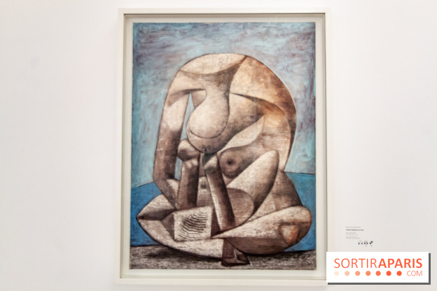 Les chefs d'œuvre de Picasso au Musée Picasso, photos