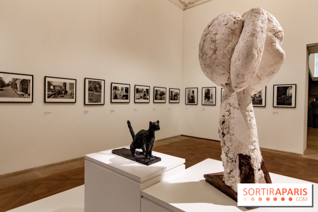 Les chefs d'œuvre de Picasso au Musée Picasso, photos