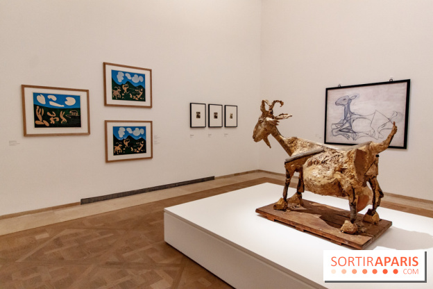 Les chefs d'œuvre de Picasso au Musée Picasso, photos