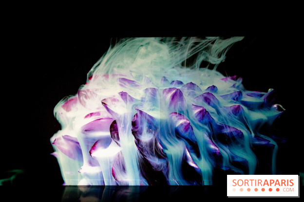 Colours X Colours, l'installation immersive à l'Atelier des Lumières