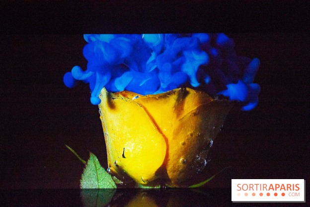 Colours X Colours, l'installation immersive à l'Atelier des Lumières