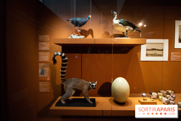 Exposition Madagascar au musée du Quai Branly 