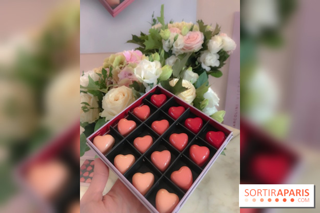 Marcolini x Victoria Beckham