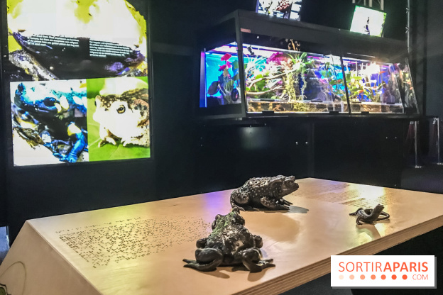 Poison au Palais de la Découverte, les photos 