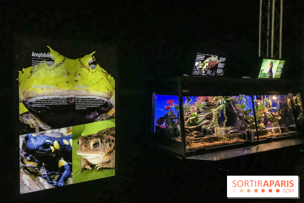 Poison au Palais de la Découverte, les photos 