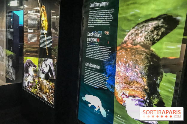 Poison au Palais de la Découverte, les photos 