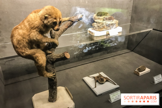 Poison au Palais de la Découverte, les photos 